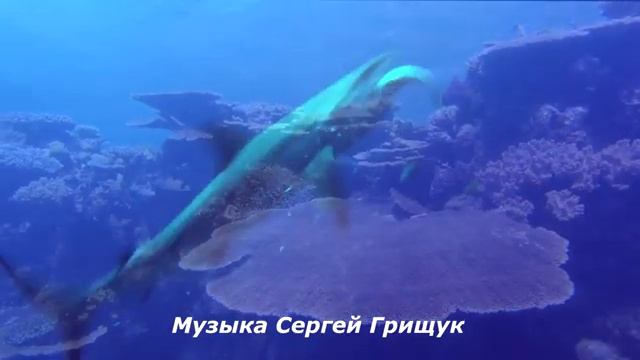 Музыка Для Души 🌿Красивая Музыка🌿Расслабляющая музыка🌿Музыка Любви 🌿Музыка Сергей Грищук 🌿 (1)