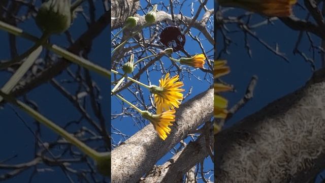 🦋Природа реальности: поиски истины 🦋