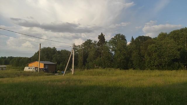 дачная природа