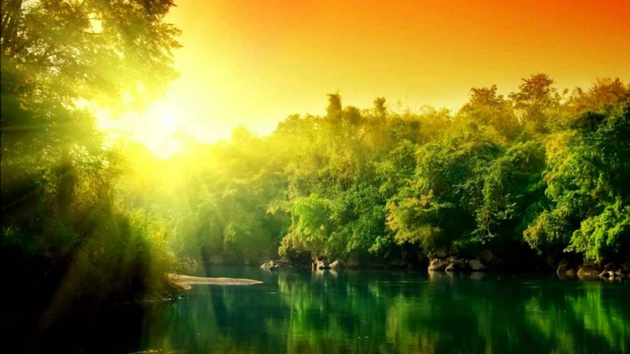 Как лучше поступить