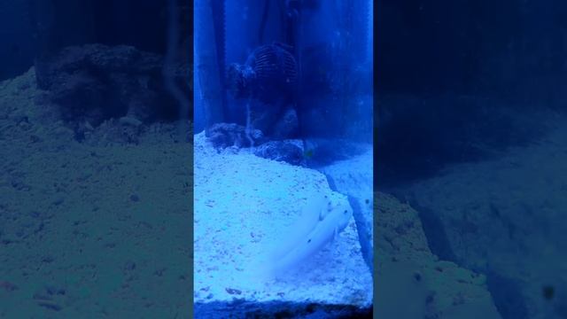 20170627_205352