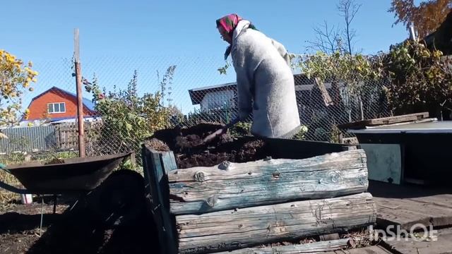 26.09.2022 Последний теплый день. Подготовка огорода к зиме. Вкусная хреновина.