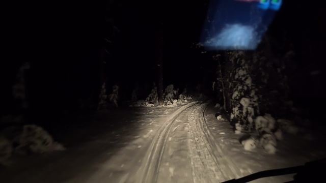 Красота ночного леса. На УАЗ буханке.