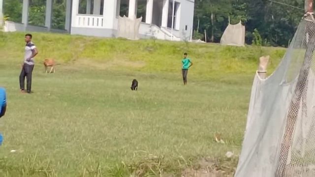 Ami nijeo janina video kokon korlo pore dekhlam 🤦♂