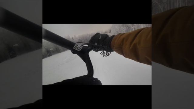 брайчик