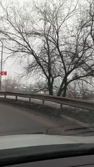 1000185542.mp4