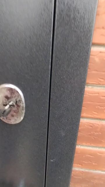 lv_0_20250210153241.mp4