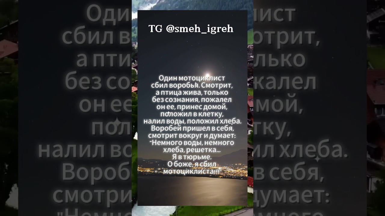 Анекдоты #смех #юмор #шутка #веселье #комедия #prikol #follow #анекдот