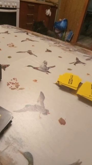 Вот Вот)