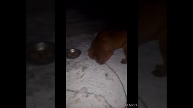 Тибет 15.12.24г.