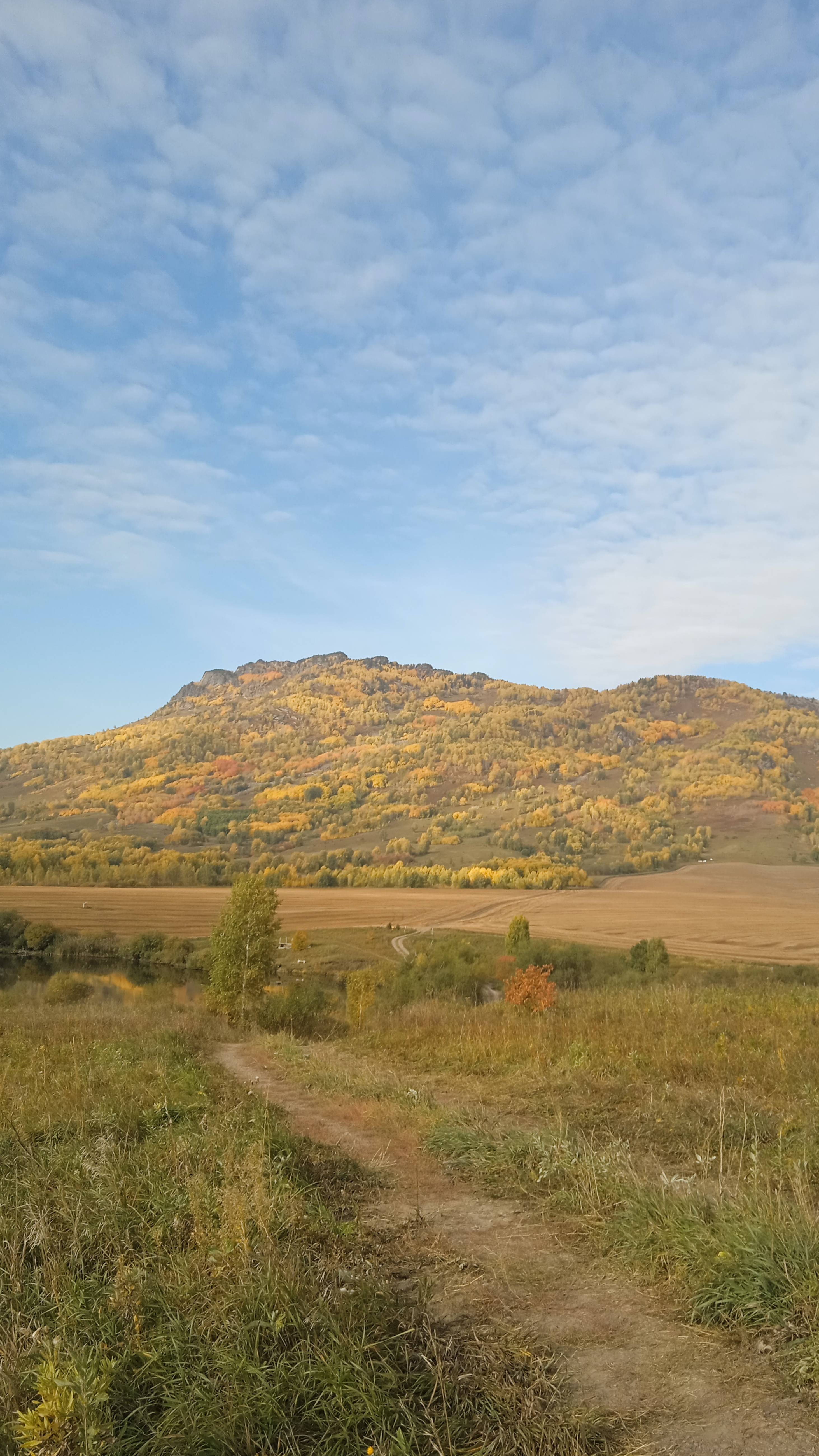 Русская народная песня. Я пойду-ли молоденька