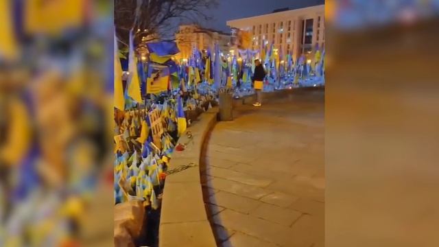 Укроп на грядках