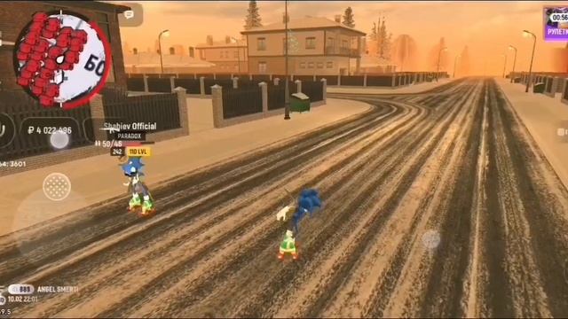 petal_20250211_020422.mp4