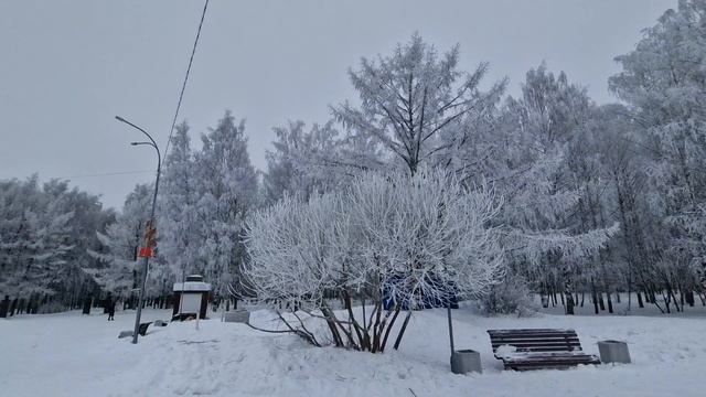 Красивый зимний Парк Победы города Кирова. 10 февраля 2025 года.