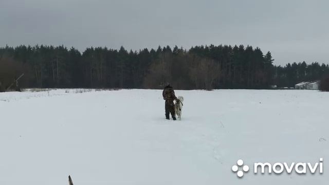 Продолжаем делать ремонт в сарае.