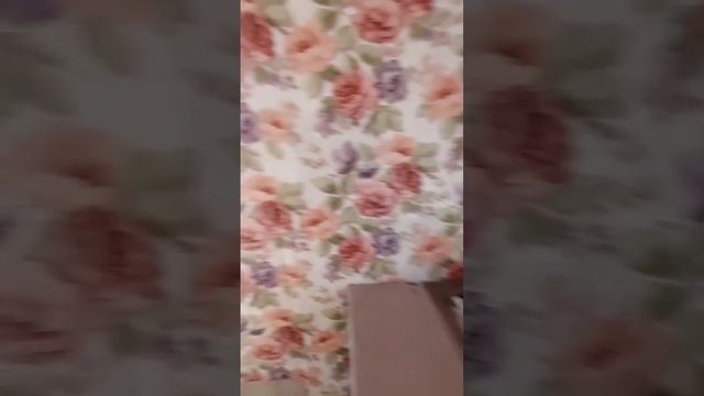 Ишалино, Береговая, 5