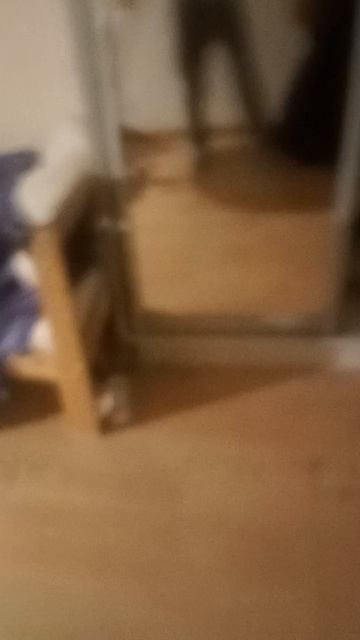 VID_20250210_202440568