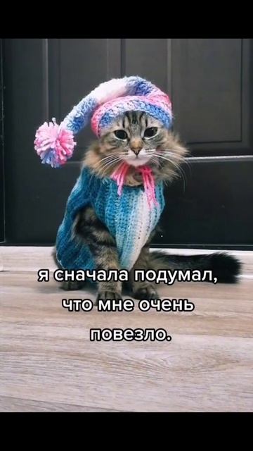 НАТАША #ЛучшаяМимикасИИ #покапибаримся #УютныеРецепты