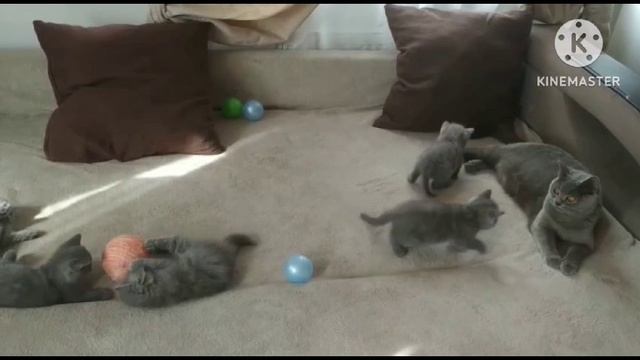 1000047871.mp4