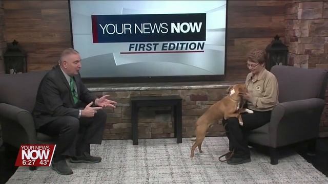 Pet of the Week!