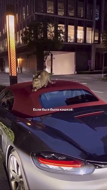 1000073291.mp4