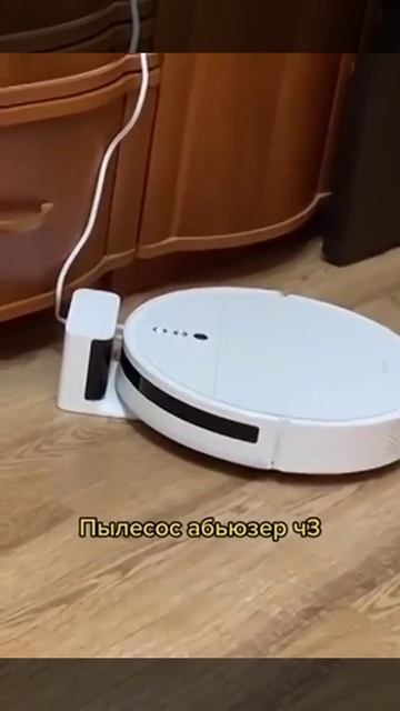 VID-20250210-WA0613
