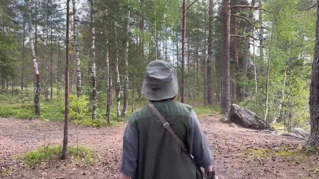 Два дня с палаткой в Лен.области