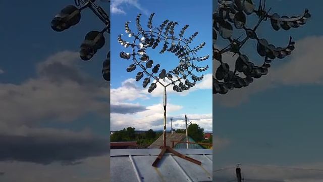 СЕРДЦЕ