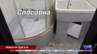 Новости клининга в Сургуте