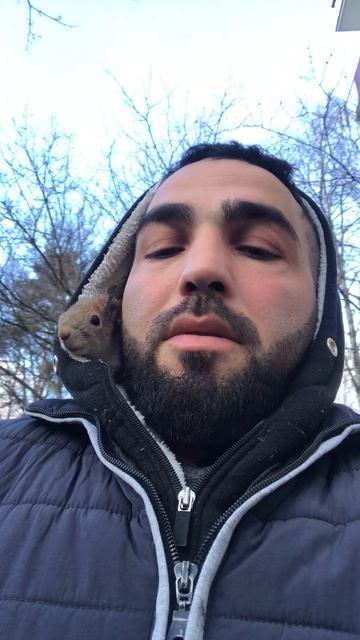 IMG_2457 Белки’🐿  РЫЖУХА И ДРАКОША