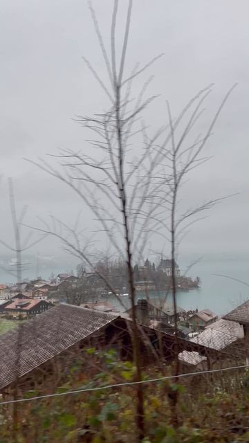 12014158_2160_3840_60fps