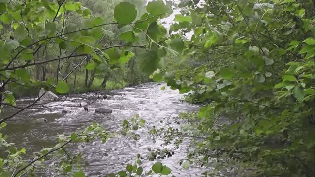 " Мелодия горной реки... "