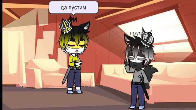 #украла своё видео из tik tok#