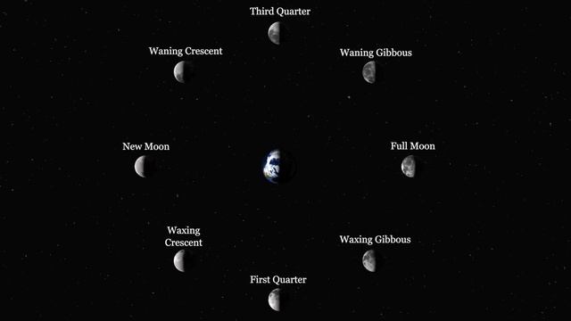 Phases of the Moon
