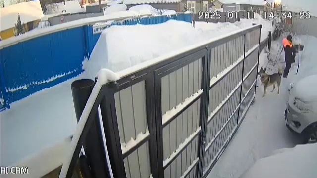 Снежный ров из-за собаки-убегаки. #собака #дача #снег