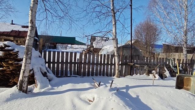 Любовь и козы