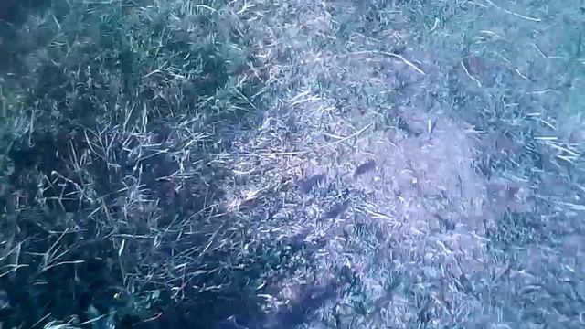 Гуляю на горе пою и ору песни про корону грешника ( лили венчестер будет в восторге )