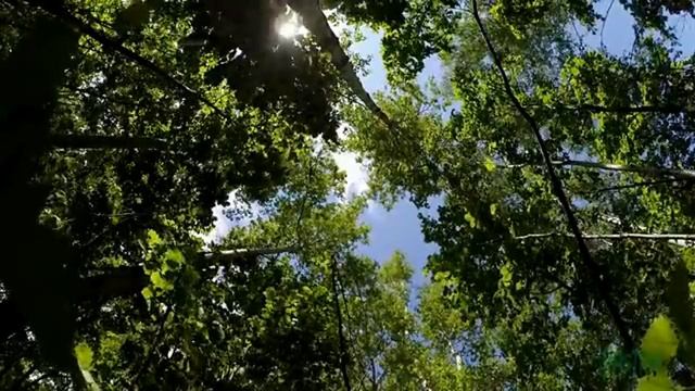 Реальность в новом обличии часть 3.