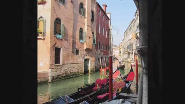 Venice 2015