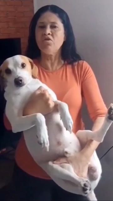 Видимо тост был так себе