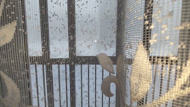 1000125735.mp4