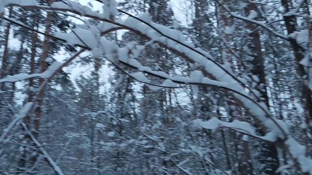 Белый лес: менингит опасен своими последствиями. Продолжение 2