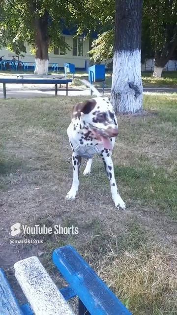 просто Марс