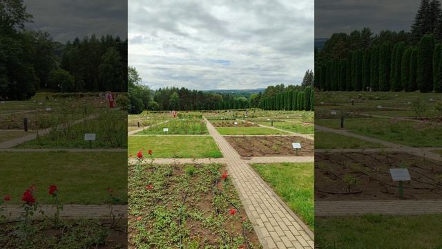 Красоты парка в Кисловодске