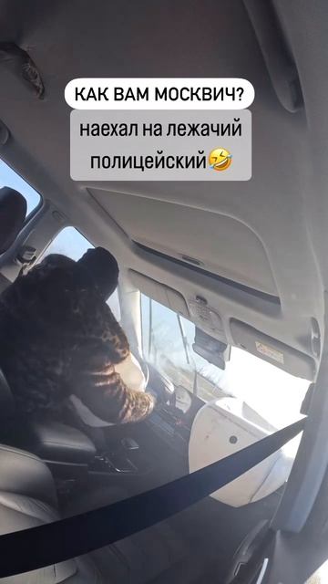 как вам москвич?