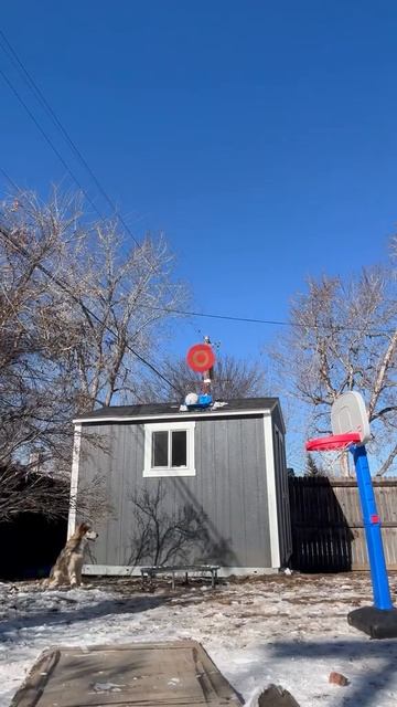 Идеальное попадание