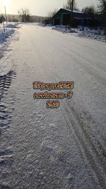 10февраля2025