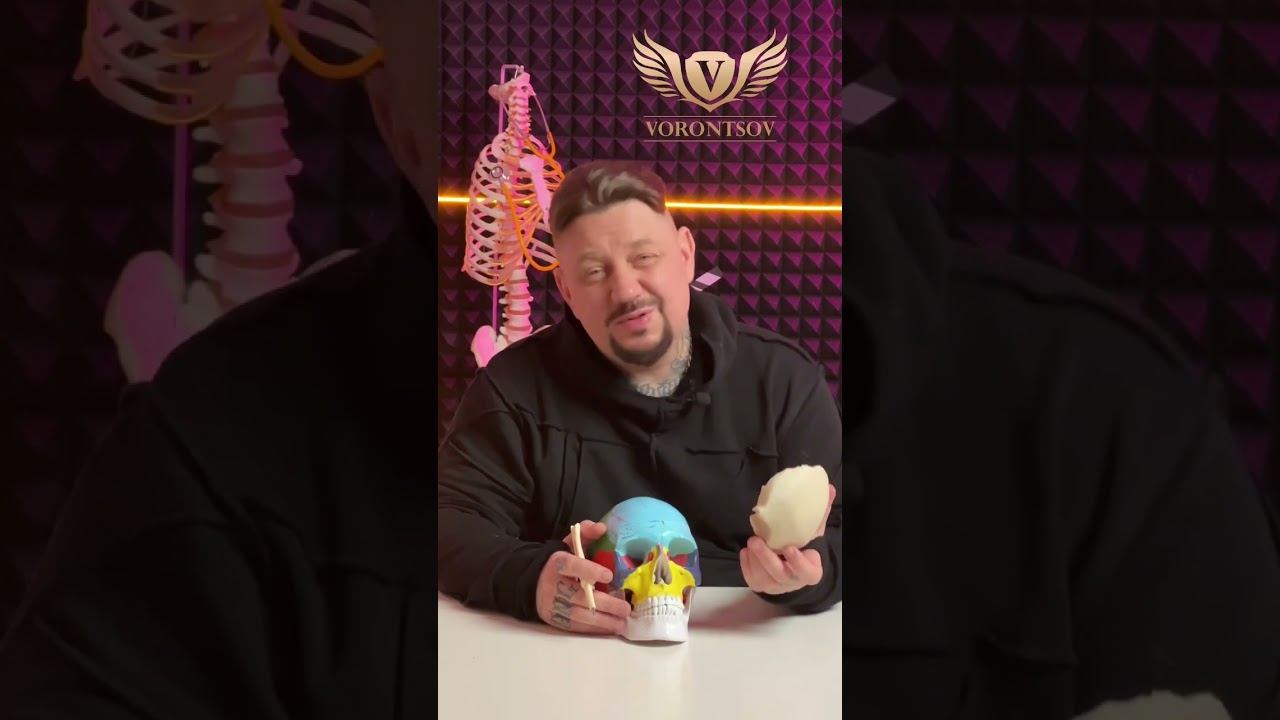 Лобная кость. Доктор остеопат Воронцов Роман