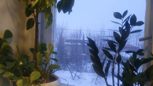 Донбасский дневник