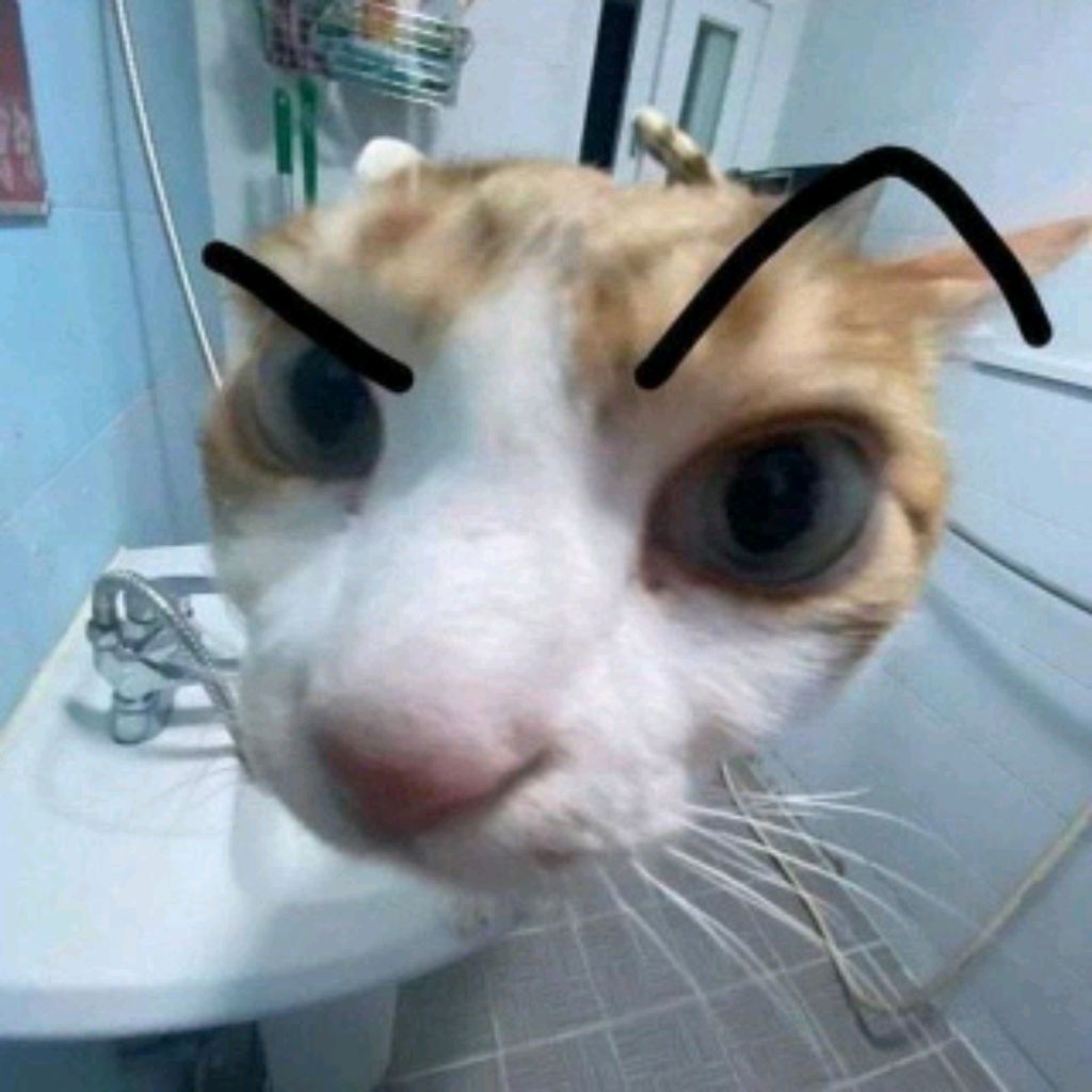 Хс